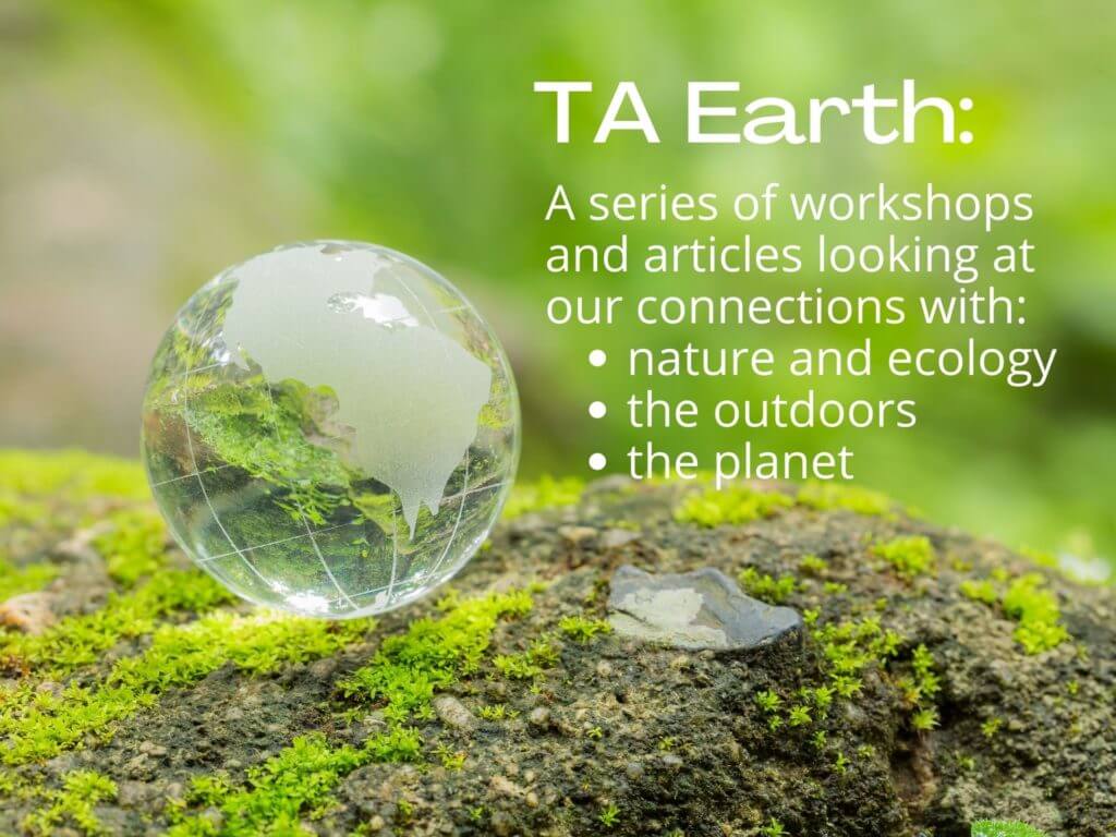 TA Earth header