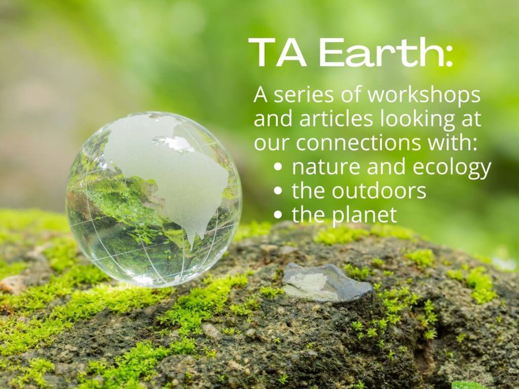 TA Earth header picture