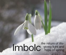 Imbolc image with snowdrops
